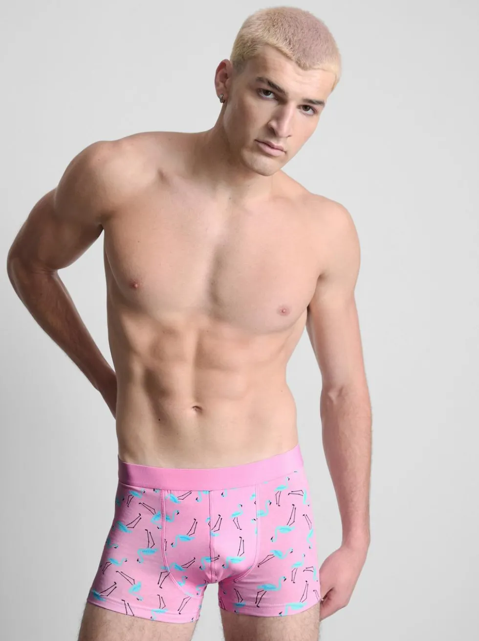 Hipster-Shorts mit Flamingo-Designs, 5er-Pack